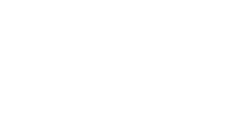 17 años de experiencia